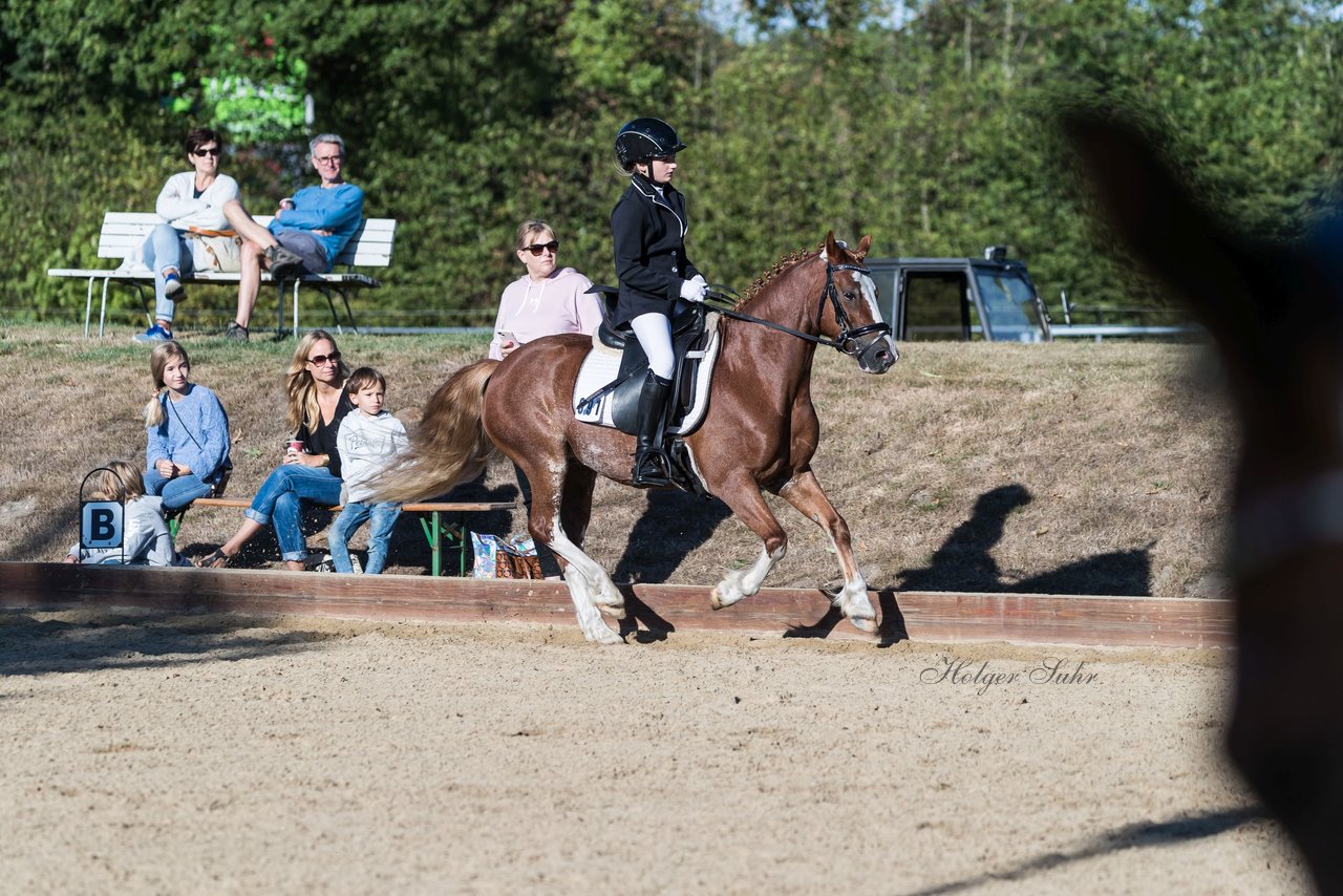 Bild 98 - Pony Akademie Turnier